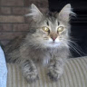 Meet your Posher, Tristan